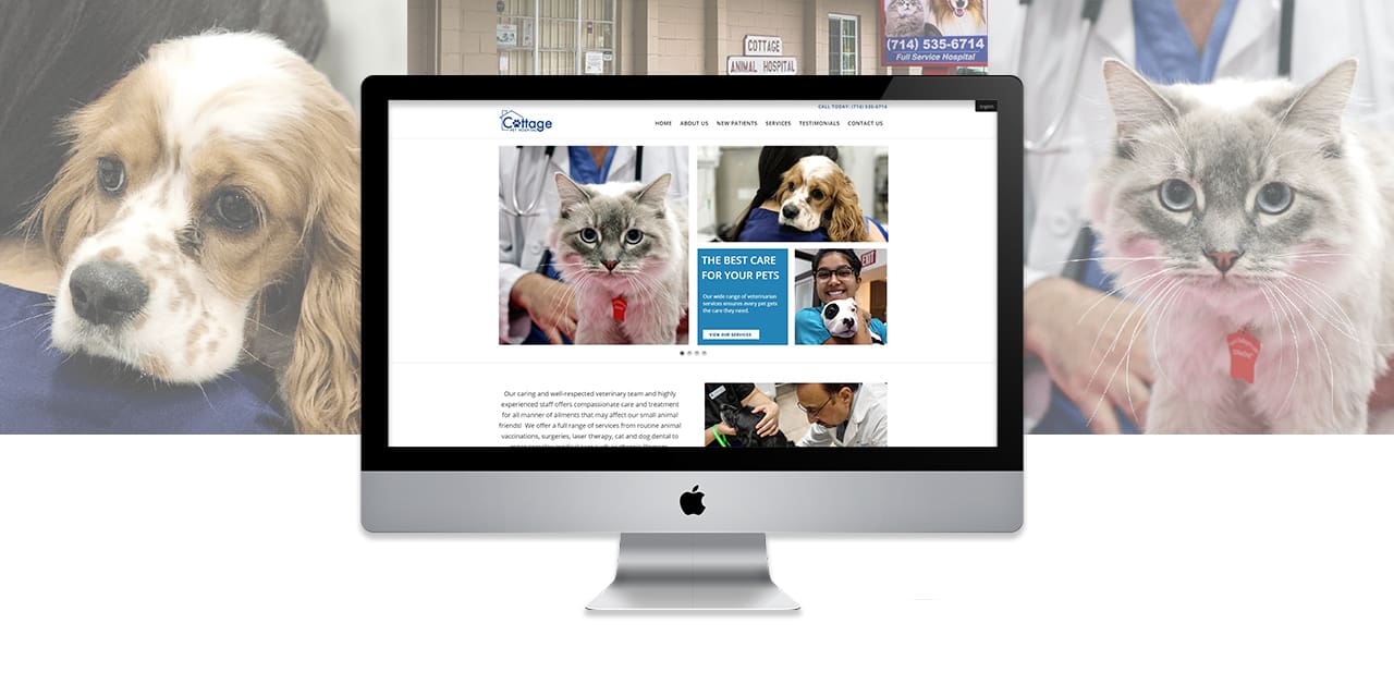 Client Spotlight: Cottage Pet Hospital